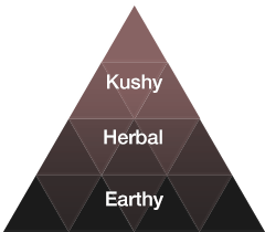 profil aromatique terpène Kush Note